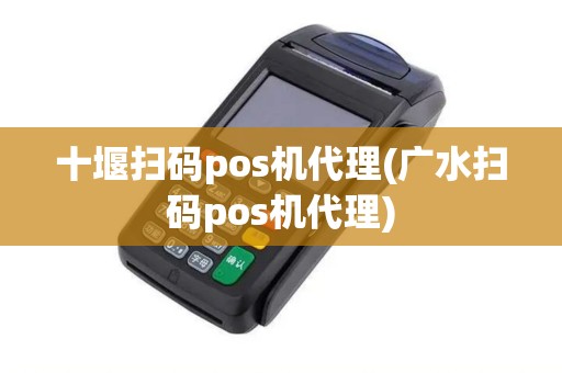 十堰扫码pos机代理(广水扫码pos机代理)