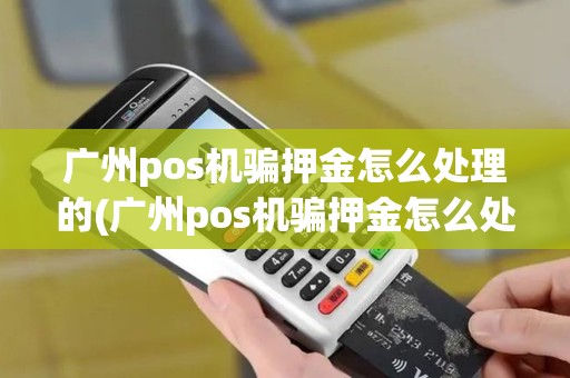 广州pos机骗押金怎么处理的(广州pos机骗押金怎么处理)