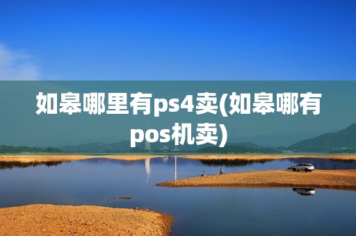 如皋哪里有ps4卖(如皋哪有pos机卖)