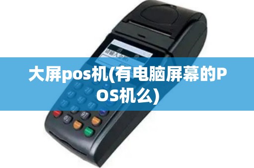 大屏pos机(有电脑屏幕的POS机么)