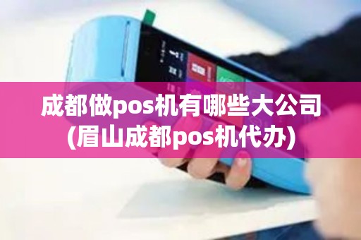 成都做pos机有哪些大公司(眉山成都pos机代办)