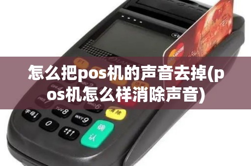 怎么把pos机的声音去掉(pos机怎么样消除声音)