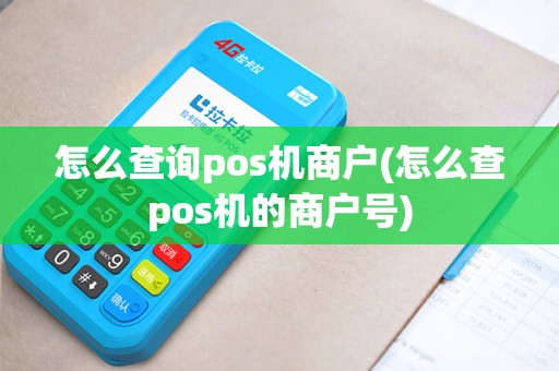 怎么查询pos机商户(怎么查pos机的商户号)