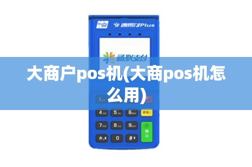 大商户pos机(大商pos机怎么用)