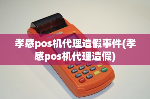 孝感pos机代理造假事件(孝感pos机代理造假)