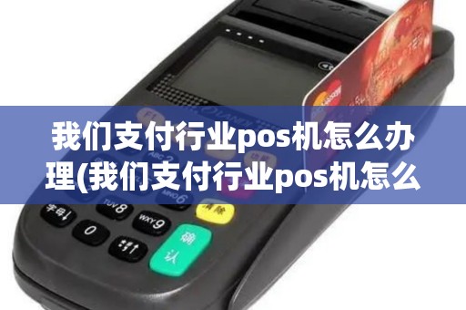 我们支付行业pos机怎么办理(我们支付行业pos机怎么)