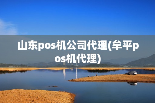 山东pos机公司代理(牟平pos机代理)