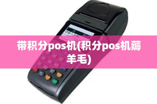 带积分pos机(积分pos机薅羊毛)