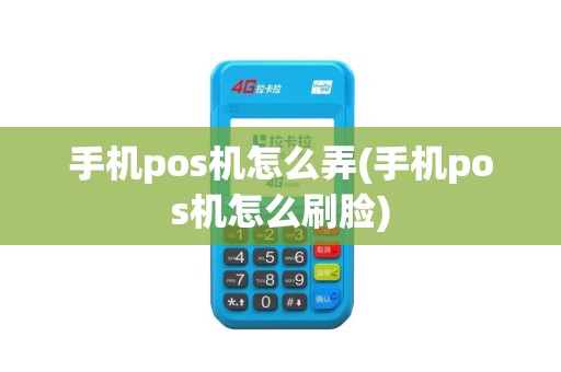 手机pos机怎么弄(手机pos机怎么刷脸)