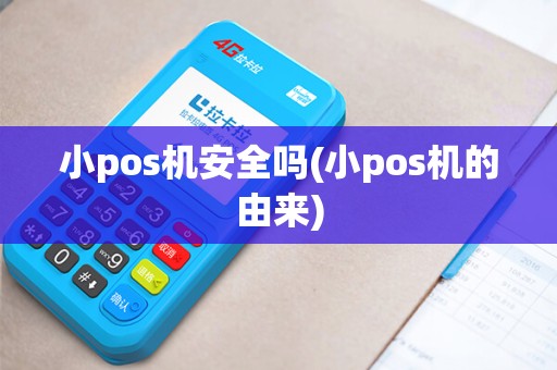 小pos机安全吗(小pos机的由来)