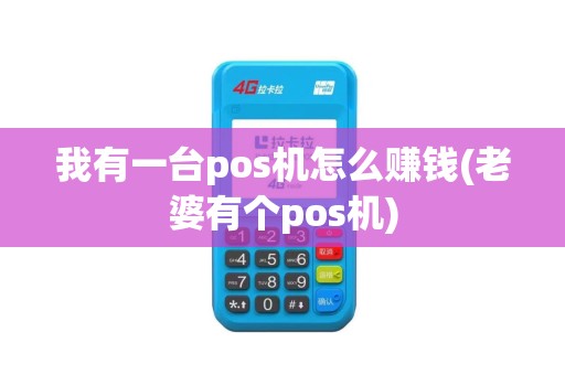 我有一台pos机怎么赚钱(老婆有个pos机)