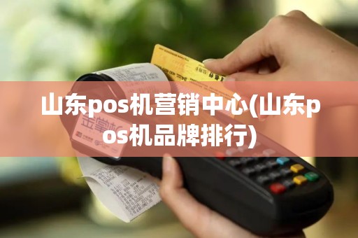 山东pos机营销中心(山东pos机品牌排行)