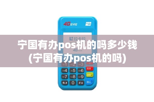 宁国有办pos机的吗多少钱(宁国有办pos机的吗)
