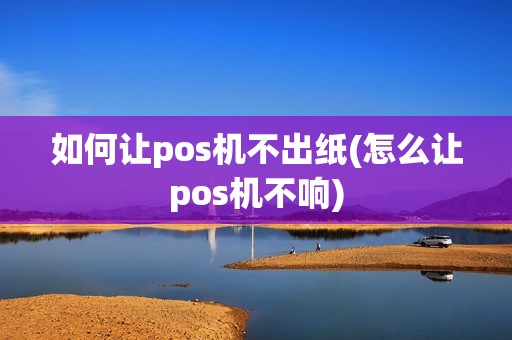 如何让pos机不出纸(怎么让pos机不响)