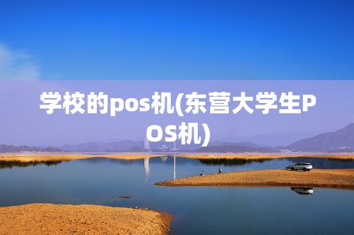 学校的pos机(东营大学生POS机)