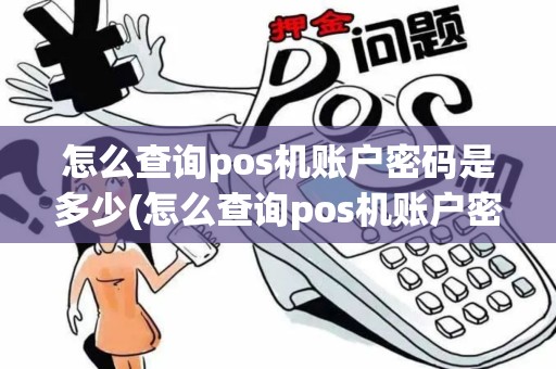 怎么查询pos机账户密码是多少(怎么查询pos机账户密码)