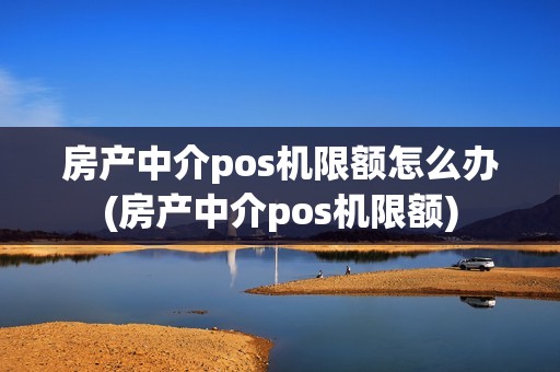 房产中介pos机限额怎么办(房产中介pos机限额)