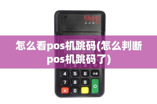 怎么看pos机跳码(怎么判断pos机跳码了)