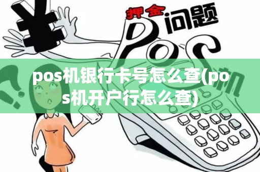 pos机银行卡号怎么查(pos机开户行怎么查)