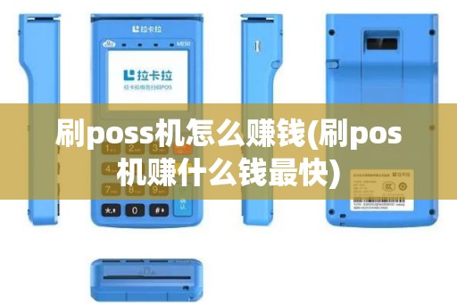 刷poss机怎么赚钱(刷pos机赚什么钱最快)