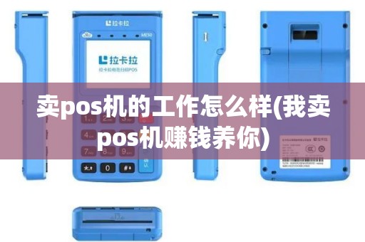 卖pos机的工作怎么样(我卖pos机赚钱养你)