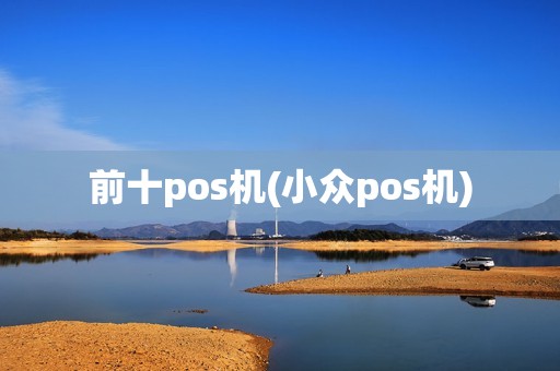 前十pos机(小众pos机)