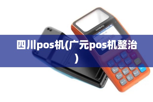 四川pos机(广元pos机整治)