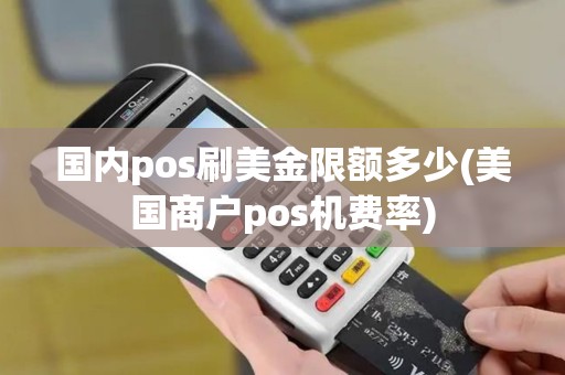 国内pos刷美金限额多少(美国商户pos机费率)