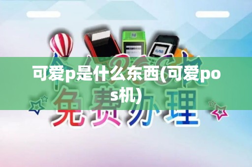 可爱p是什么东西(可爱pos机)