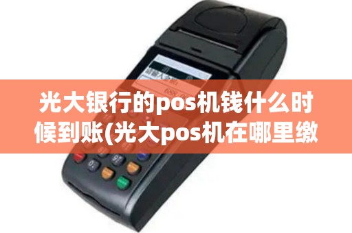 光大银行的pos机钱什么时候到账(光大pos机在哪里缴费)