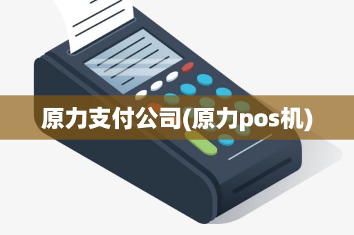 原力支付公司(原力pos机)
