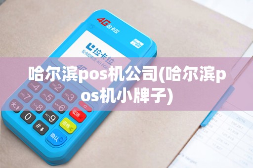 哈尔滨pos机公司(哈尔滨pos机小牌子)