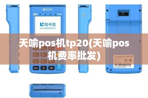天喻pos机tp20(天喻pos机费率批发)