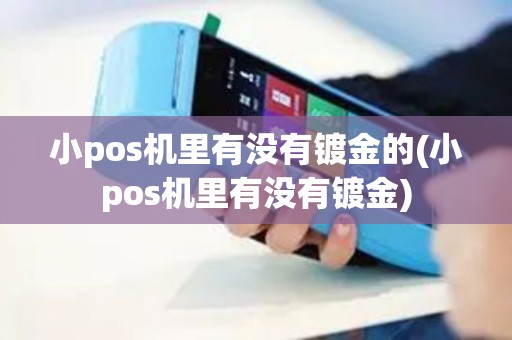 小pos机里有没有镀金的(小pos机里有没有镀金)