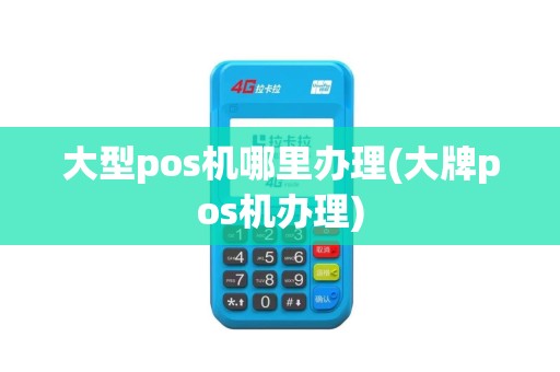 大型pos机哪里办理(大牌pos机办理)