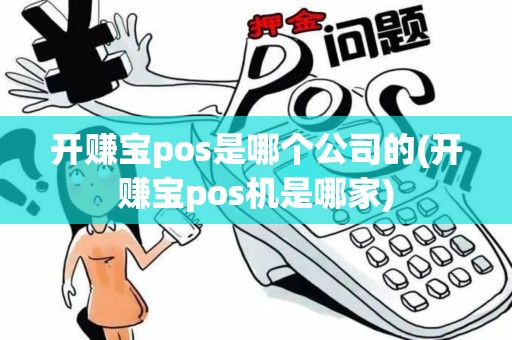 开赚宝pos是哪个公司的(开赚宝pos机是哪家)