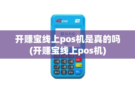 开赚宝线上pos机是真的吗(开赚宝线上pos机)