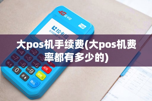 大pos机手续费(大pos机费率都有多少的)