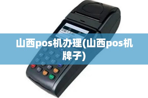 山西pos机办理(山西pos机牌子)