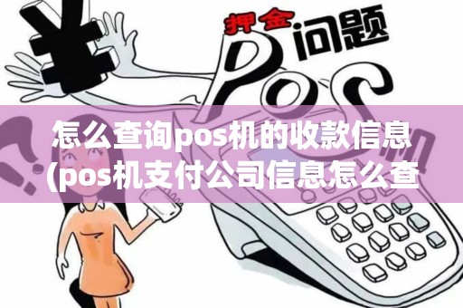 怎么查询pos机的收款信息(pos机支付公司信息怎么查)