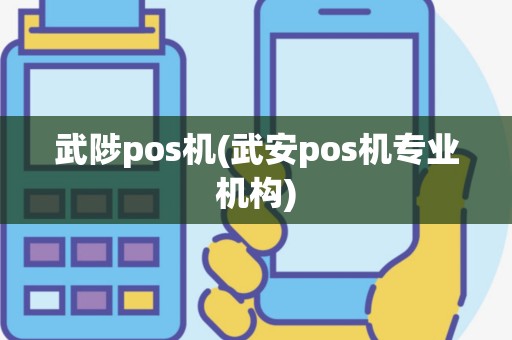 武陟pos机(武安pos机专业机构)