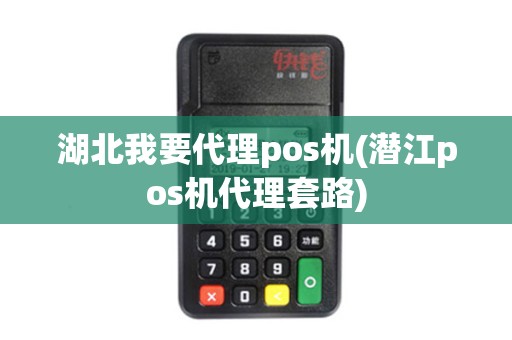 湖北我要代理pos机(潜江pos机代理套路)