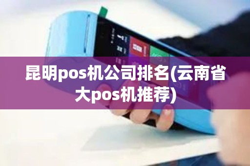 昆明pos机公司排名(云南省大pos机推荐)