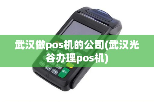 武汉做pos机的公司(武汉光谷办理pos机)