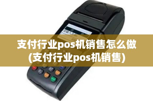 支付行业pos机销售怎么做(支付行业pos机销售)