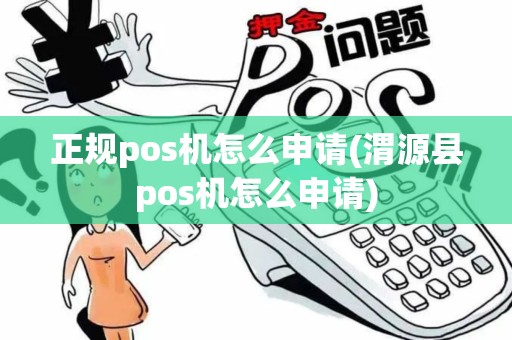 正规pos机怎么申请(渭源县pos机怎么申请)