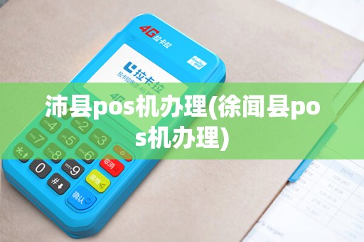 沛县pos机办理(徐闻县pos机办理)