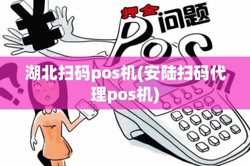 湖北扫码pos机(安陆扫码代理pos机)