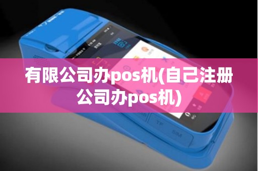有限公司办pos机(自己注册公司办pos机)