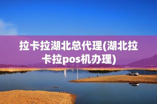 拉卡拉湖北总代理(湖北拉卡拉pos机办理)